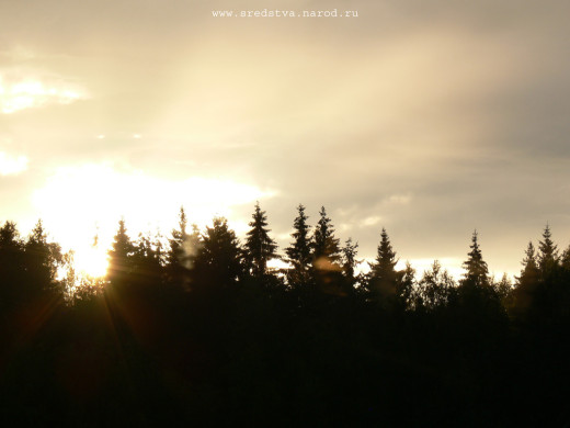 38802 (a): :1024x768